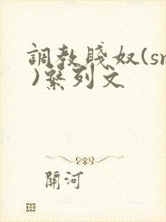 调教贱奴(sm )系列文