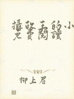 摄政王的小狼妃免费阅读