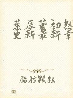 叶辰萧初然刚刚更新最新章节免费阅