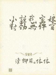 小说我家娘子不对劲无弹窗无广告