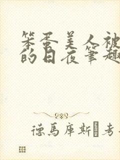 笨蛋美人被疼爱的日夜笔趣阁全文阅