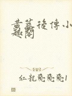 黄蓉后传小说笔趣阁