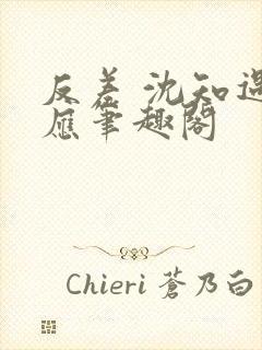 反差 沈知遇晏应笔趣阁封面