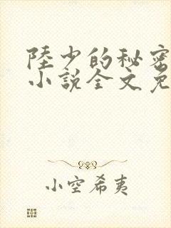 陆少的秘密恋人小说全文免费阅读封面