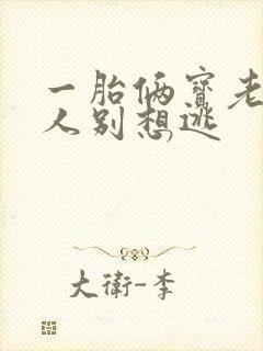 一胎俩宝老婆大人别想逃