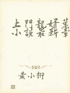 上门龙婿叶辰 小说最新章节