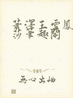 萧泽王雪凤苏丽莎笔趣阁封面