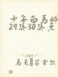 少年白马醉春风29集30集免费观看封面