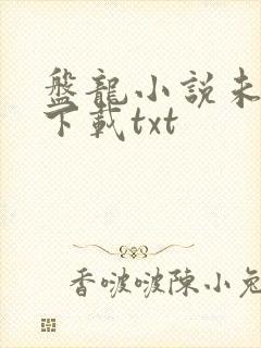 盘龙小说未删版下载txt封面