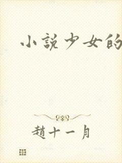 小说少女的心