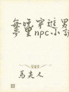 每晚穿进男神的梦里npc小说