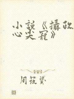 小说《摄政王的心尖宠》