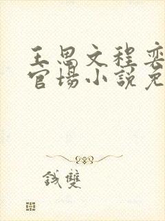 王思文程奕雪的官场小说免费阅读