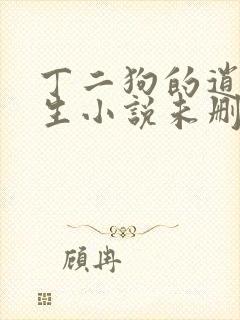 丁二狗的逍遥人生小说未删减版