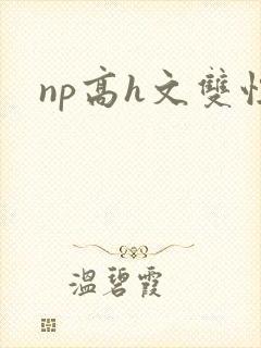 np高h文双性封面