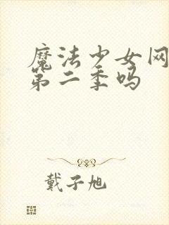 魔法少女网站有第二季吗