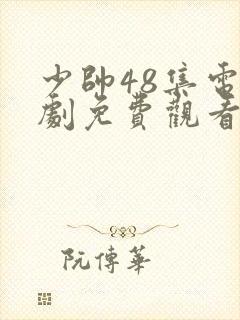 少帅48集电视剧免费观看