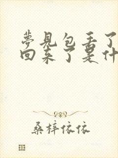 梦见包丢了又找回来了是什么预兆