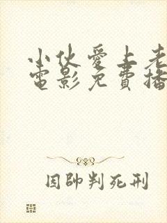 小伙爱上老板娘电影免费播放