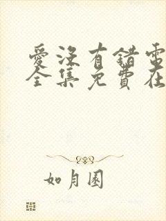 爱没有错电视剧全集免费在线观看