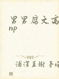 男男腐文高h肉np