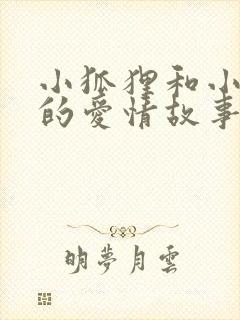 小狐狸和小兔子的爱情故事