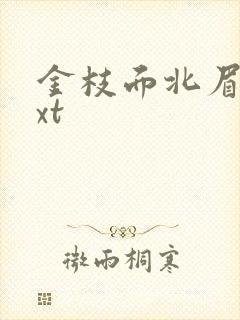 金枝面北眉南txt