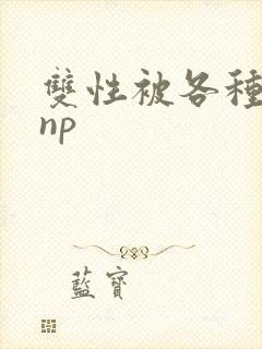 双性被各种淫玩np