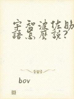 宇智波佐助用日语怎么说?