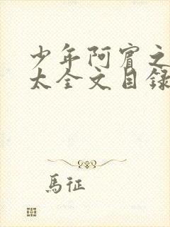 少年阿宾之房东太全文目录