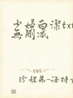 少妇白洁txt无删减