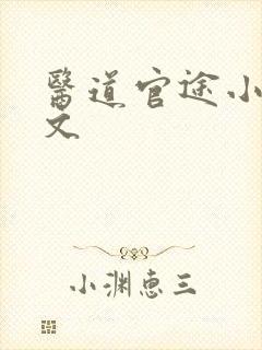 医道官途小说全文封面