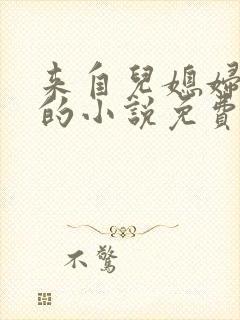 来自儿媳妇的爱的小说免费阅读全文封面