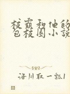 校霸和他的小哭包校园小说