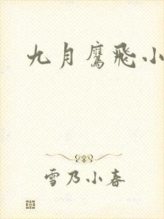 九月鹰飞小说
