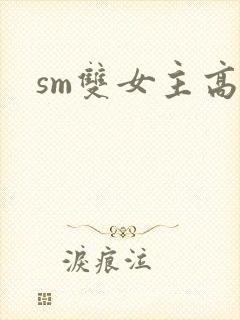 sm双女主高h