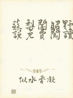 苏梨闻昭野的小说免费阅读全文封面