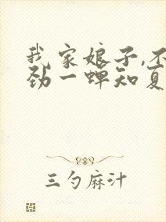 我家娘子,不对劲一蝉知夏 小说封面