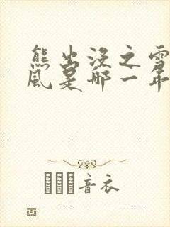 熊出没之雪岭熊风是哪一年上映的