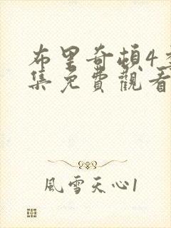 布里奇顿4季全集免费观看封面