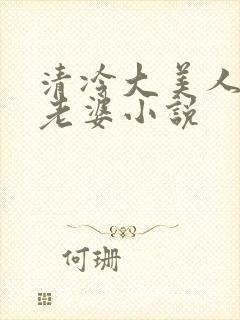 清冷大美人是我老婆小说封面
