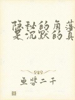 隐秘的角落严良是沉默的真相里的吗封面