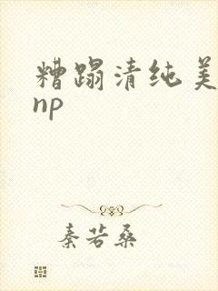 糟蹋清纯美人受np