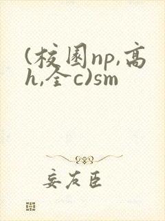 (校园np,高h,全c)sm