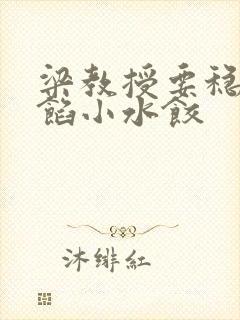 梁教授要稳住肉馅小水饺封面