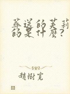 葬送的芙莉莲讲的是什么?