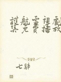 护航电视剧40集免费播放