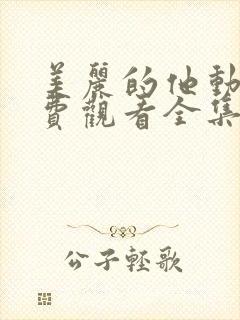 美丽的他动漫免费观看全集