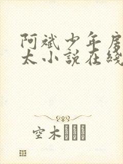 阿斌少年房东太太小说在线阅读封面