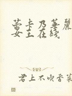 蕾卡乃华丽我的女王在线